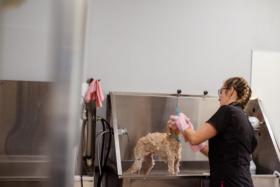 Photo by Goochie Poochie Grooming on Pexels